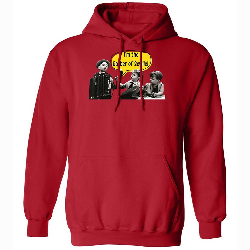 Classic Unisex Hoodie - TTJEMUBW - Red - 9