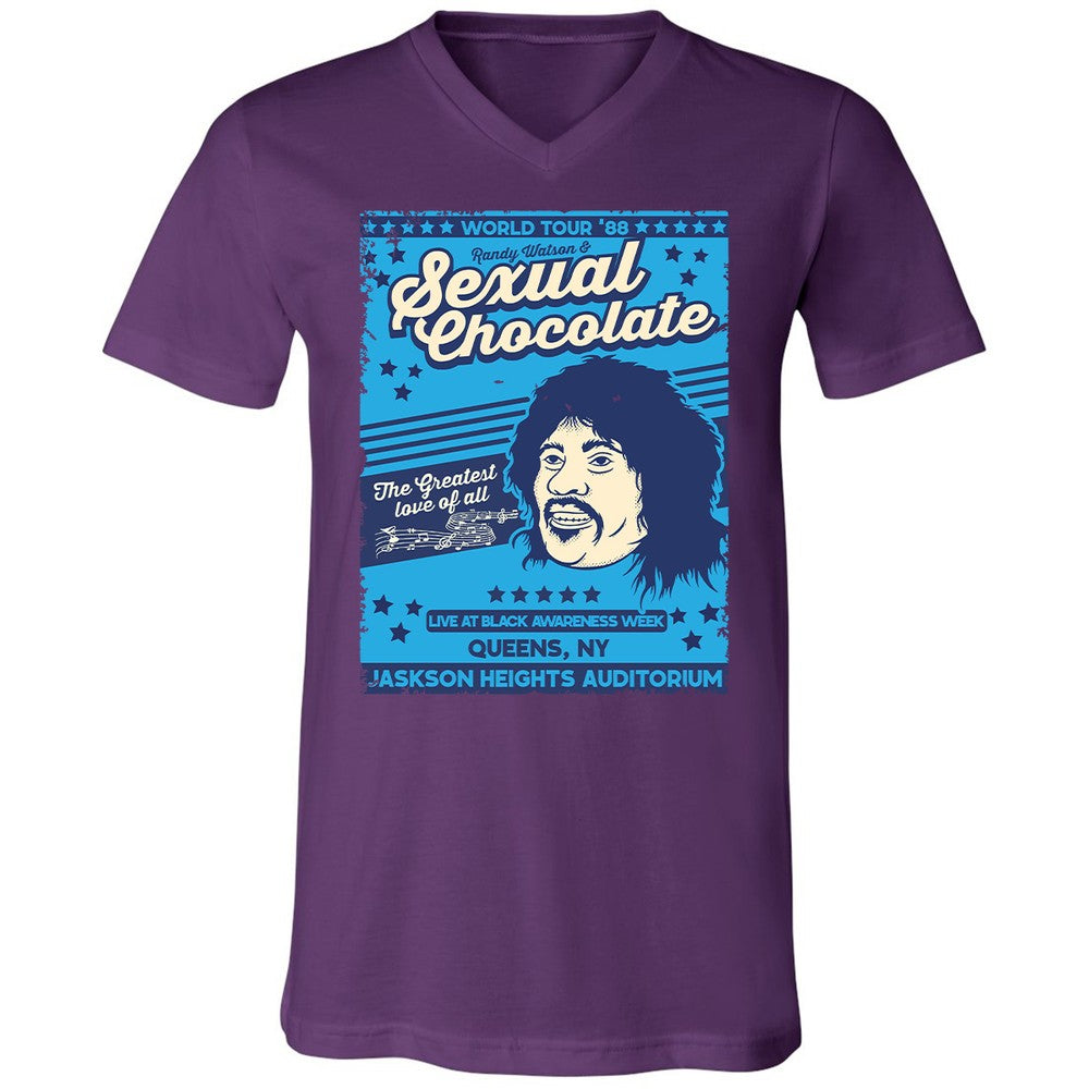 Unisex V-Neck T-Shirt - YM7GA5E7 - Team Purple - 9