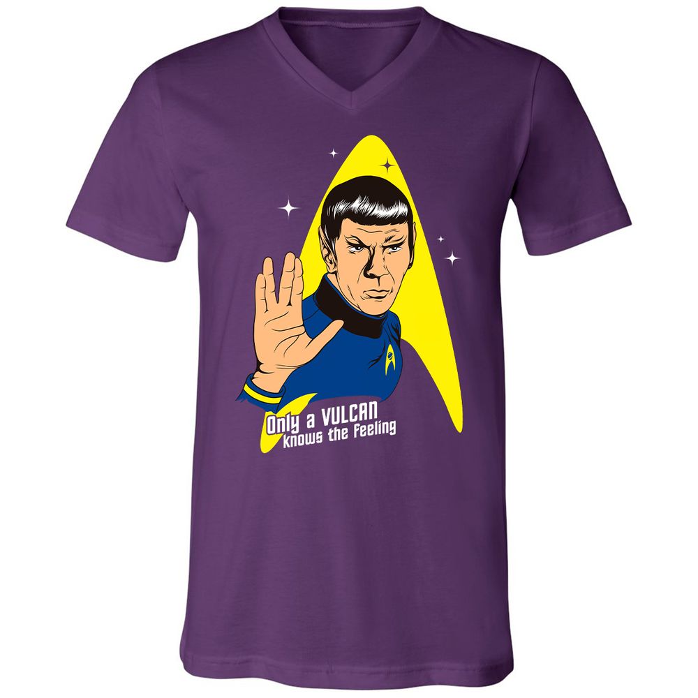 Unisex V-Neck T-Shirt - 9JQPN2ZJ - Team Purple - 9