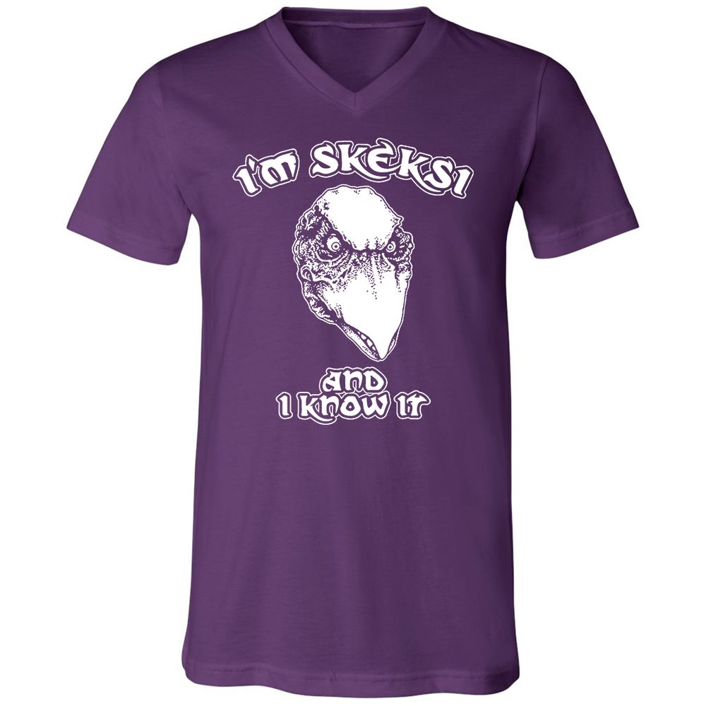 Unisex V-Neck T-Shirt - AGCXZ1HQ - Team Purple - 9