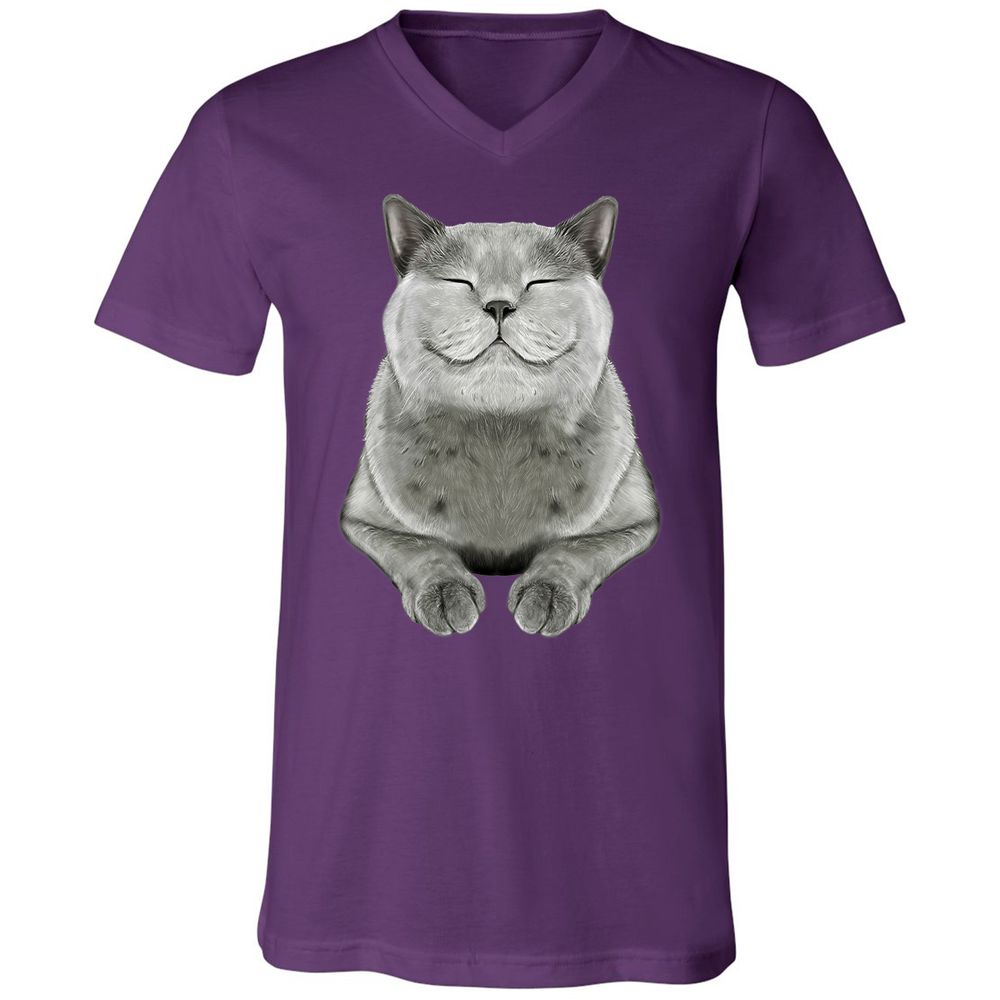 Unisex V-Neck T-Shirt - DRVCAR69 - Team Purple - 9