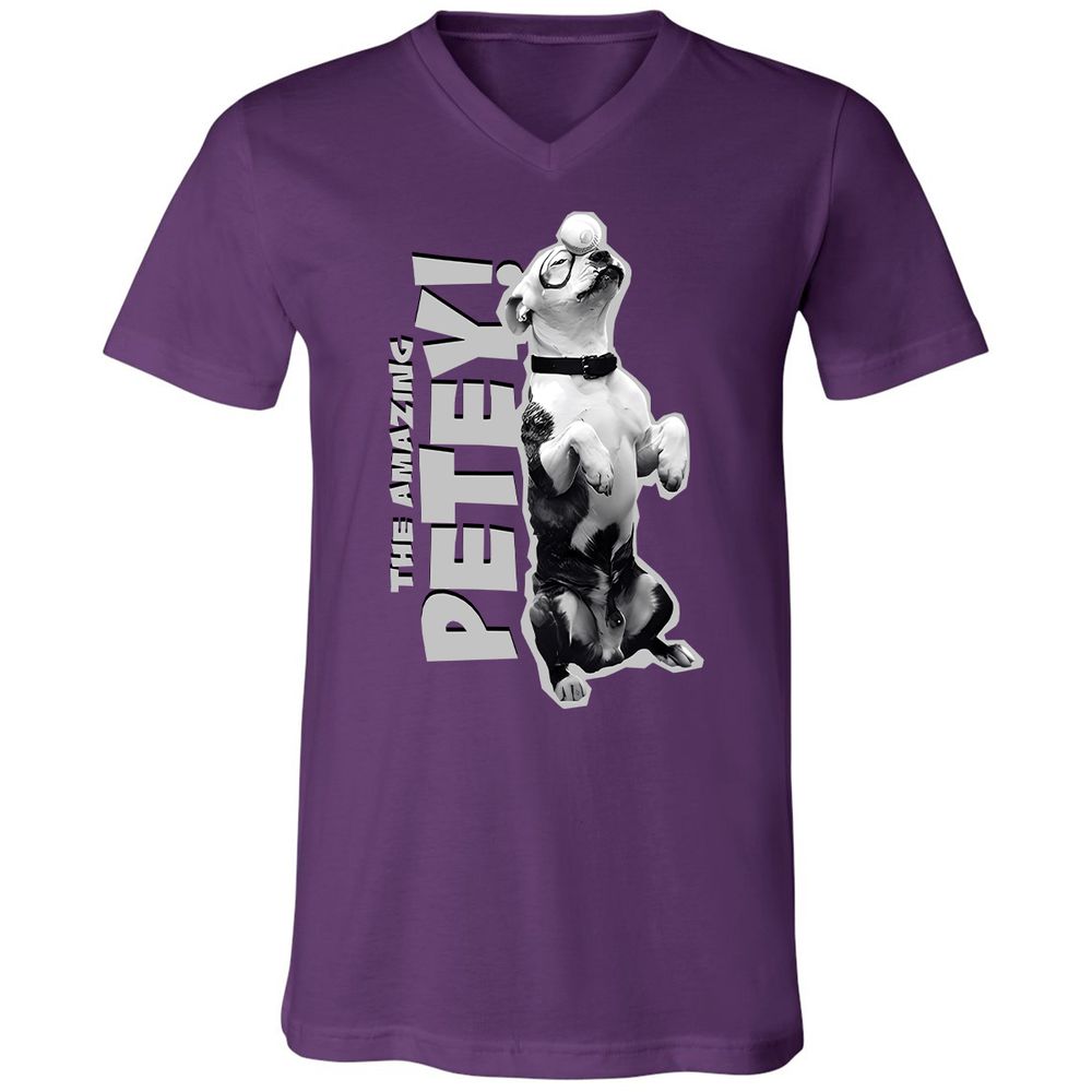 Unisex V-Neck T-Shirt - GTA4QVXH - Team Purple - 9