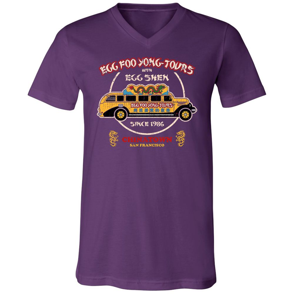 Unisex V-Neck T-Shirt - RTMN27JB - Team Purple - 9