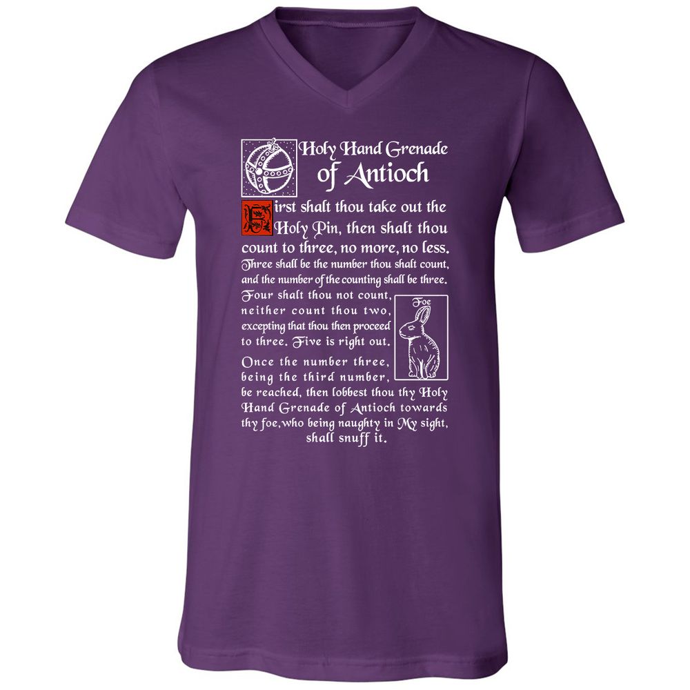 Unisex V-Neck T-Shirt - 4DWX49NV - Team Purple - 9