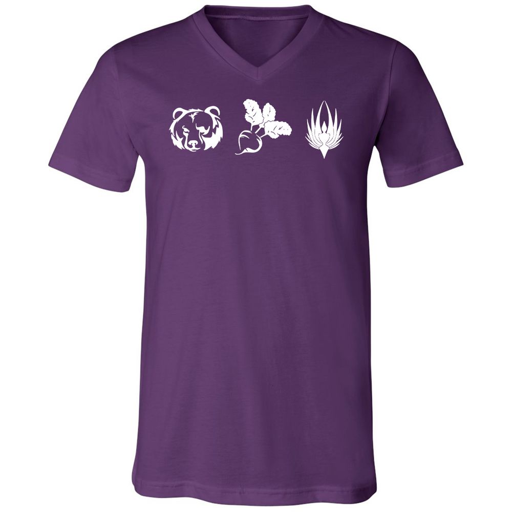 Unisex V-Neck T-Shirt - TB28D6XX - Team Purple - 9