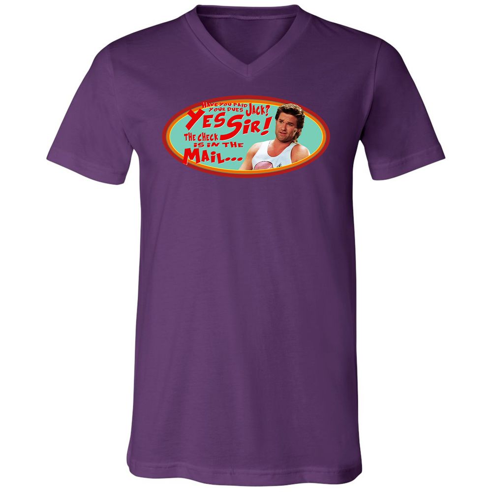 Unisex V-Neck T-Shirt - HZVFGSY8 - Team Purple - 9
