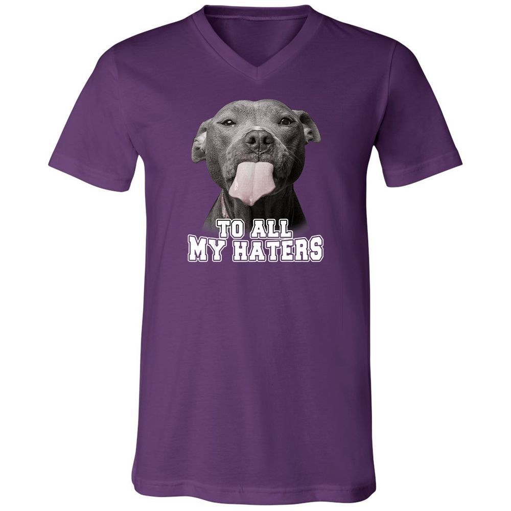 Unisex V-Neck T-Shirt - 3Z36GRAF - Team Purple - 9