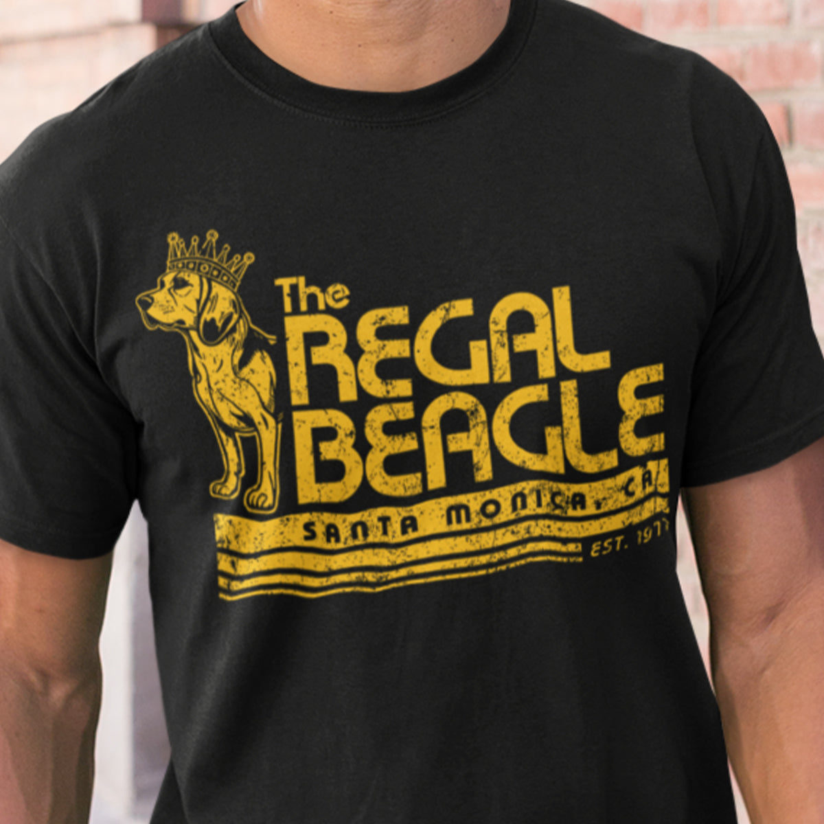 Classic Unisex T-Shirt - DYRARD78